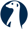 logo סוריקטה