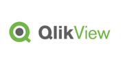 Qlik View Logo