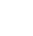 Logo Ness