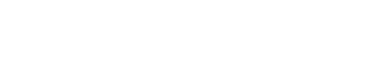 Logo Ness