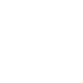 Logo Ness