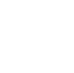 logo Ness