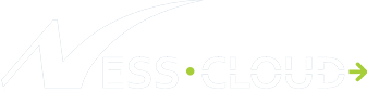 Logo Ness Cloud