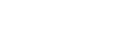 NessPro - logo
