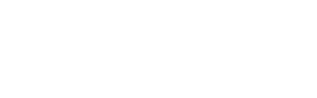 Logo Ness