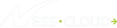 Logo Ness Cloud
