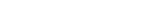 Logo Ness