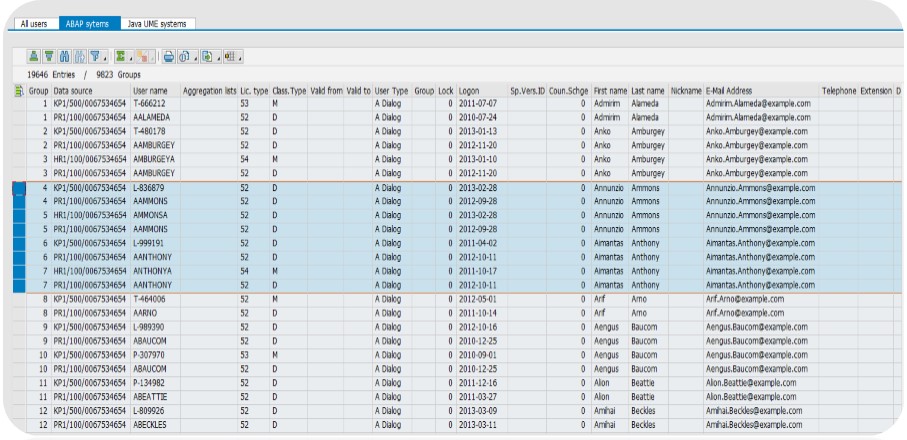 sap dual user analysis