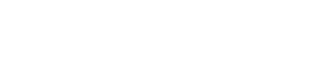 מומחים ויועצים - Professional Services