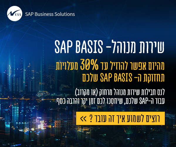 שירות מנוהל - SAP BASIS